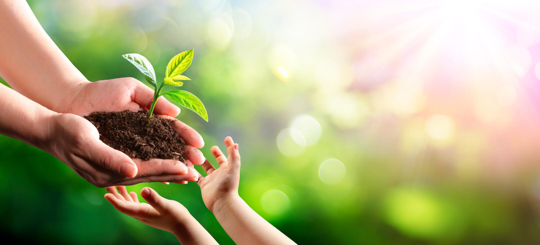 Agriculture Conservation Future